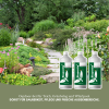 Biopretta Outdoor- und Garten Pflege-Set 3 Teilig
