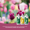 Biopretta Frühjahrsputz-Set 3 Teilig